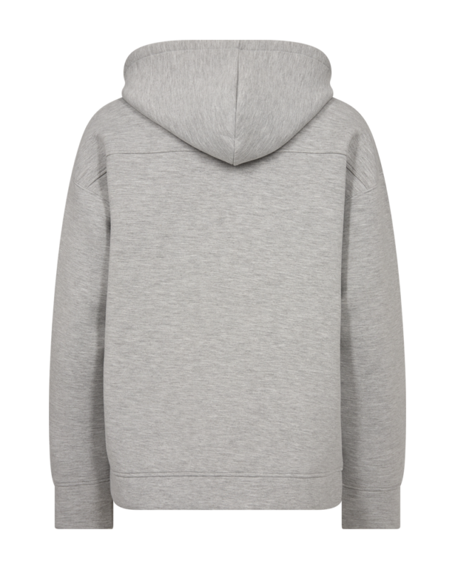 Packshot 2 205192 1040 Back 1 Cmscuba Hoodie Med. Grey Melange (1)